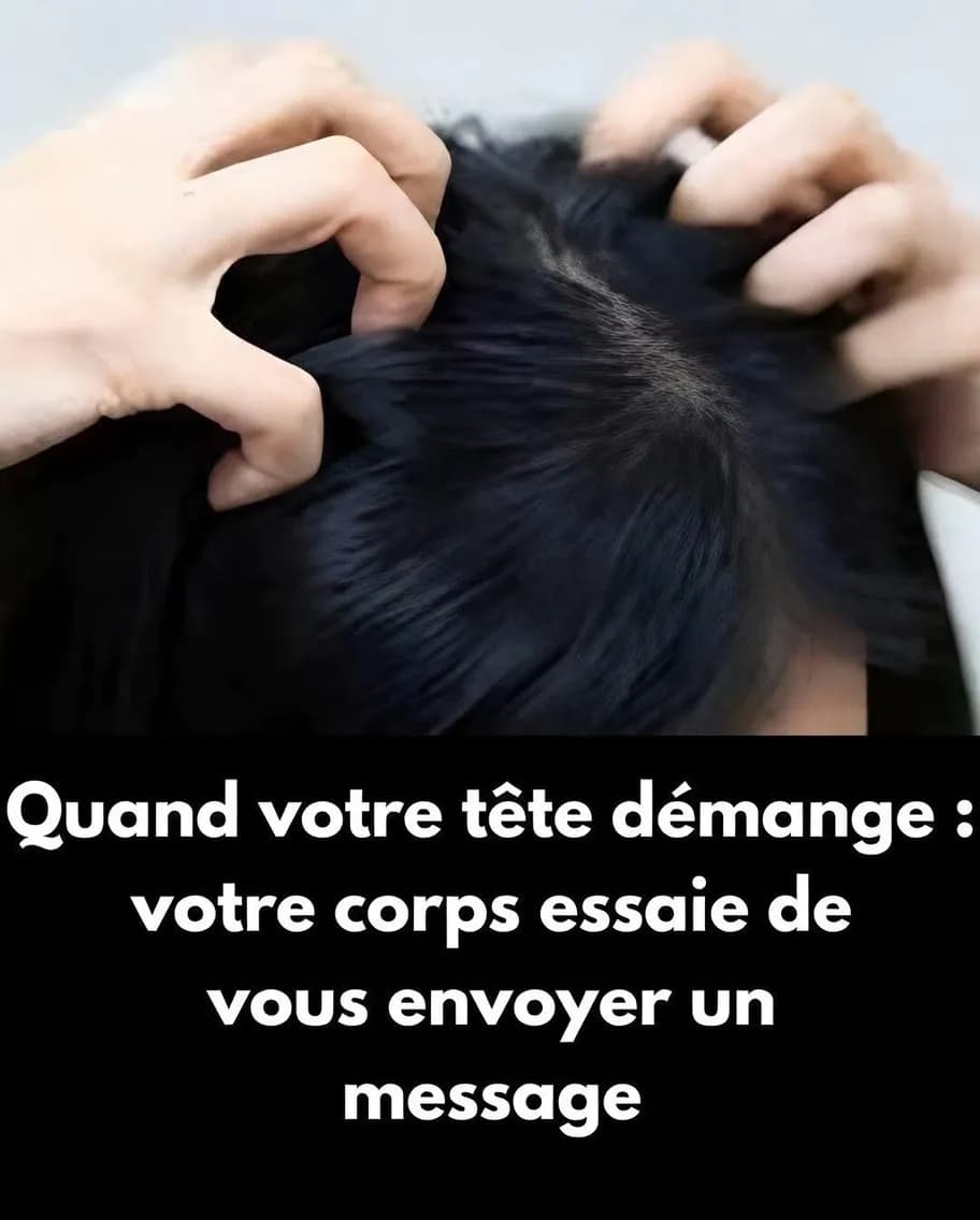 Irritation du cuir chevelu : identifiez les causes de l'inconfort et comment les traiter