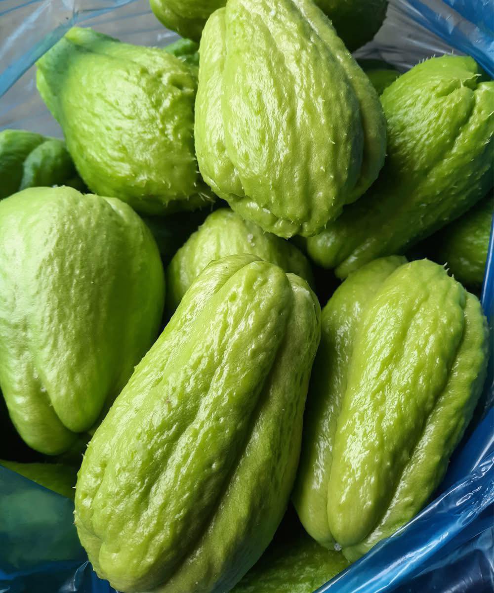 Des médecins révèlent ce que manger de la chayote provoque…