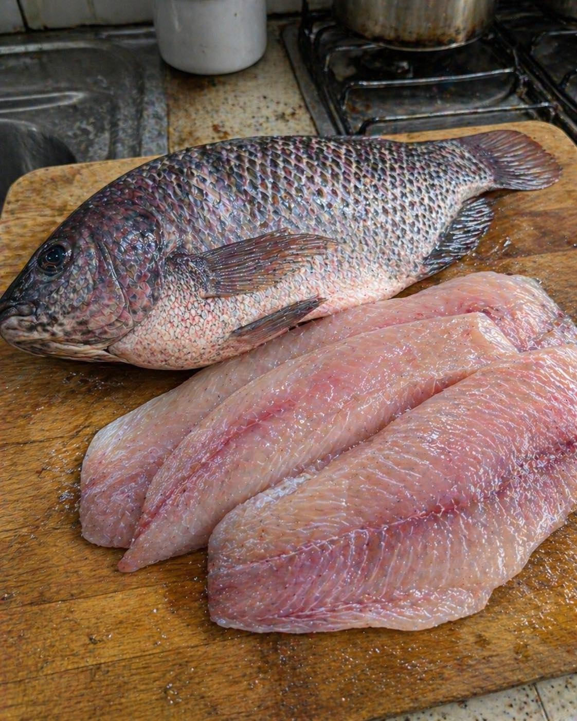 Des experts en santé révèlent que manger du tilapia pourrait causer…