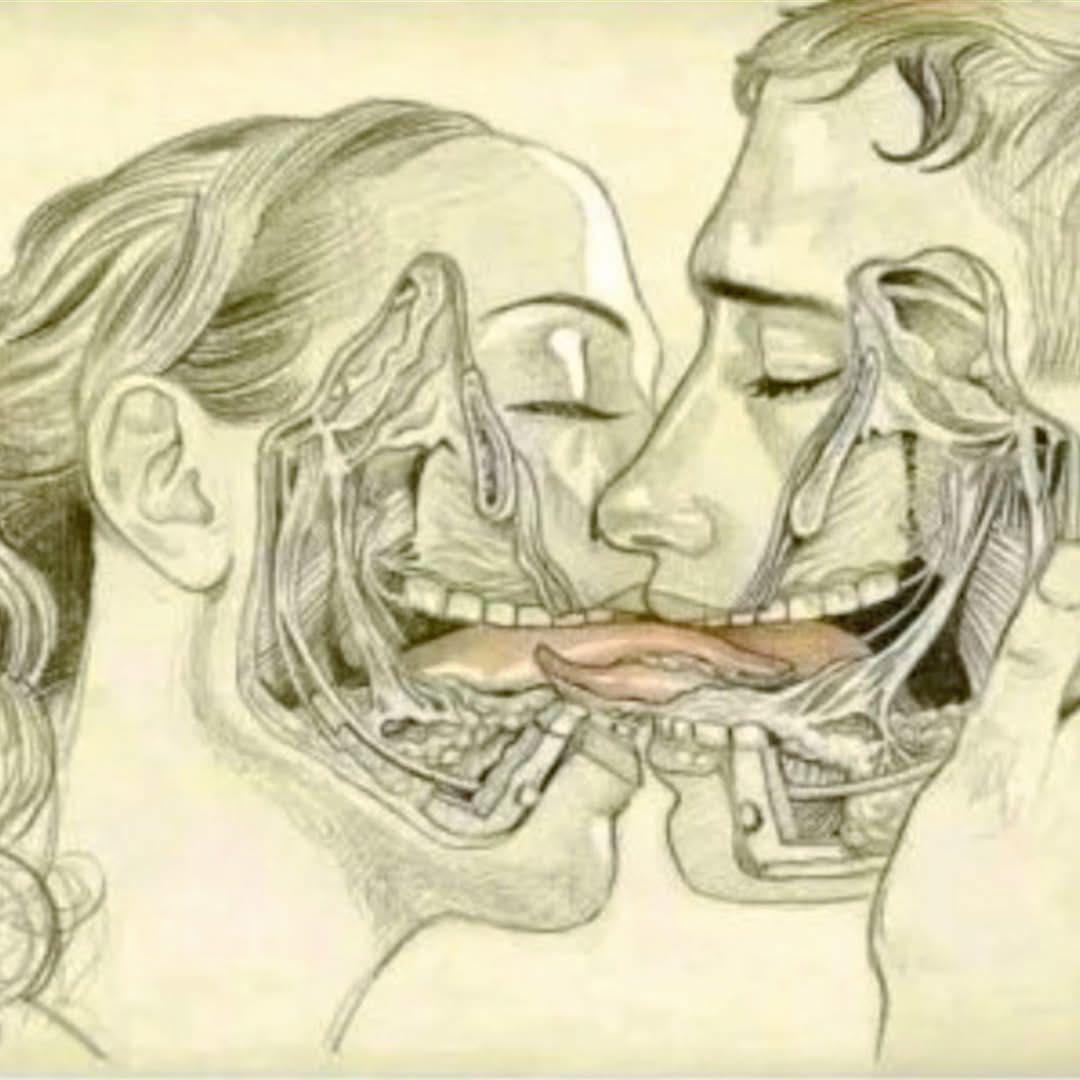 Que se passe-t-il dans le corps (et l'âme) quand on s'embrasse ?