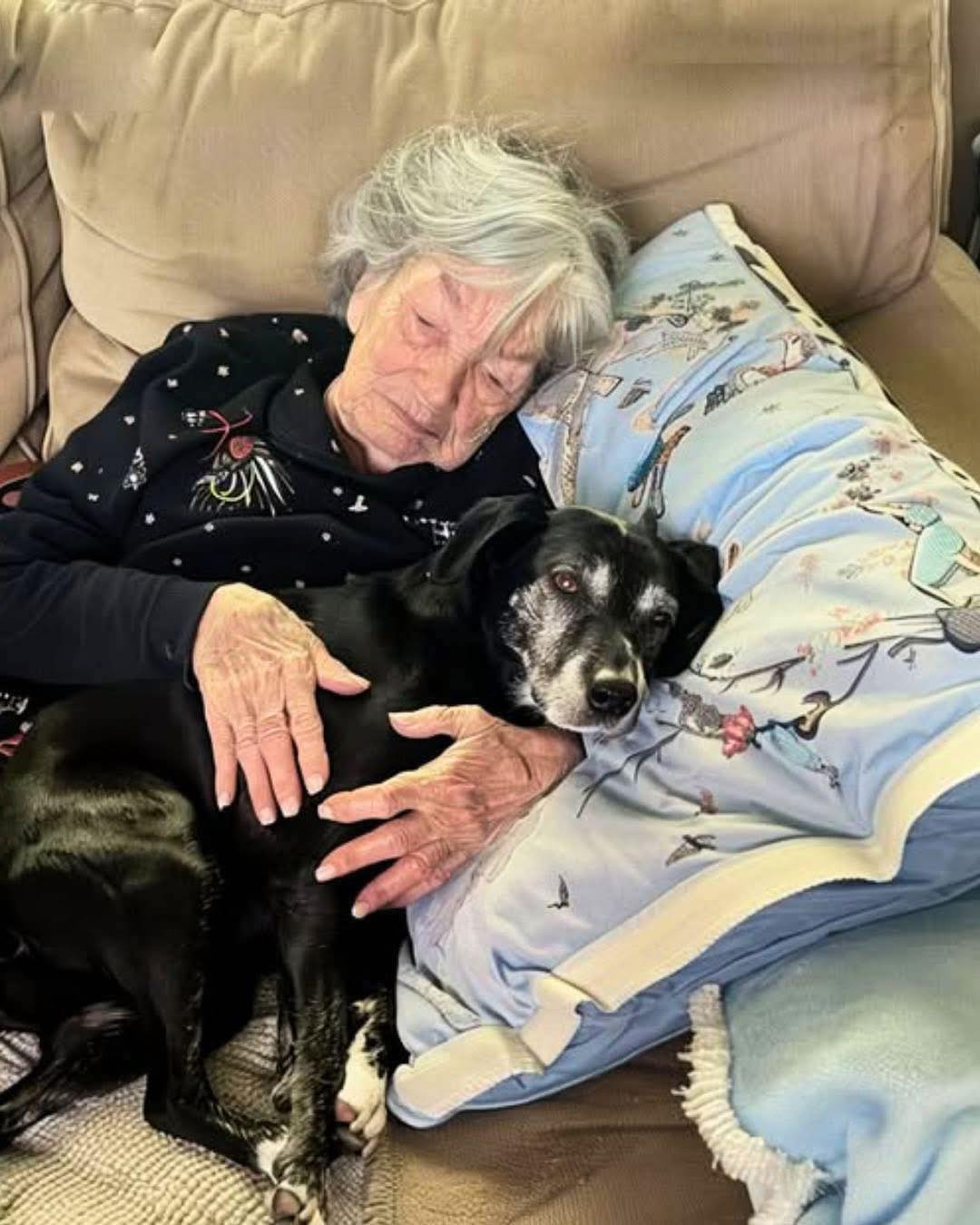 J'ai recueilli le chien de ma grand-mère pendant que la famille se déchirait pour l'héritage – un geste qui m'a révélé son secret.