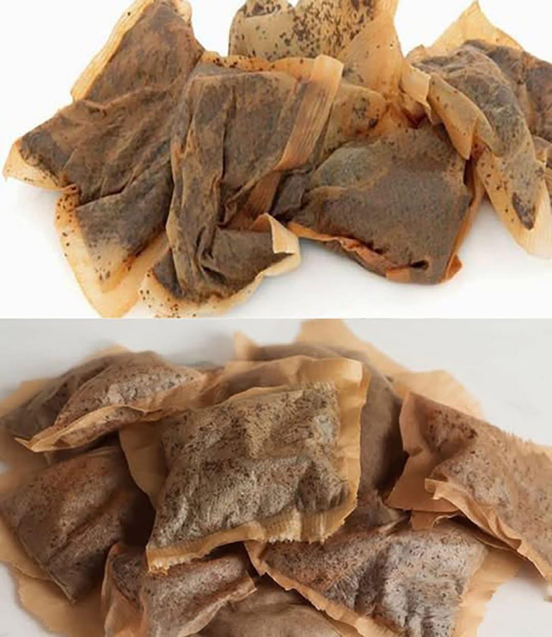 7 façons étonnantes de réutiliser les sachets de thé usagés que vous n'auriez jamais imaginées
