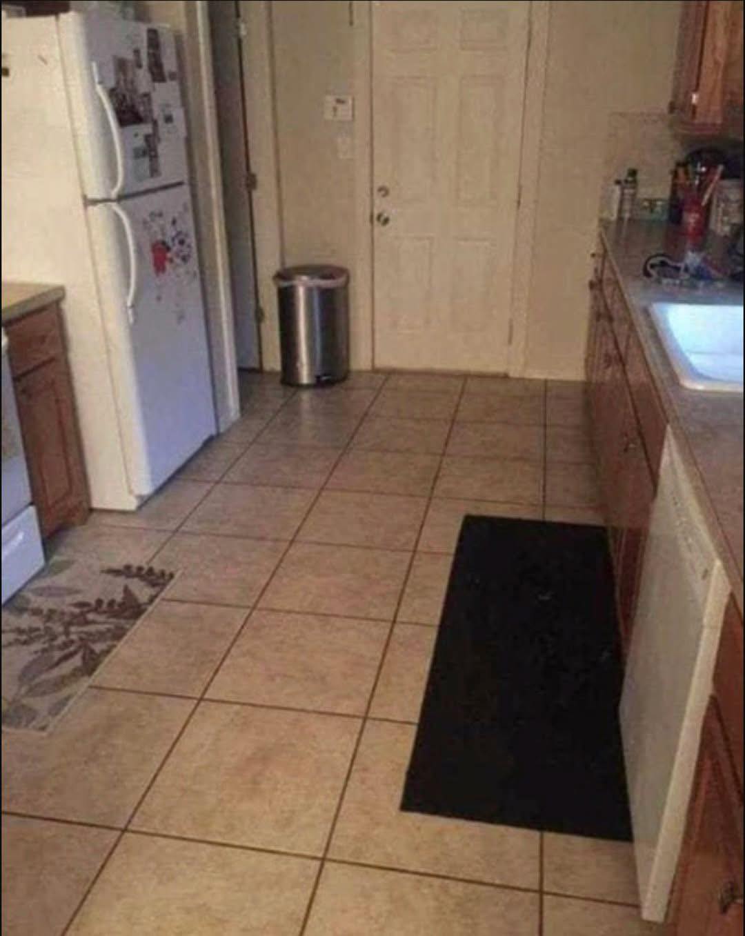 Ce chien est caché en pleine cuisine et rares sont ceux qui le repèrent