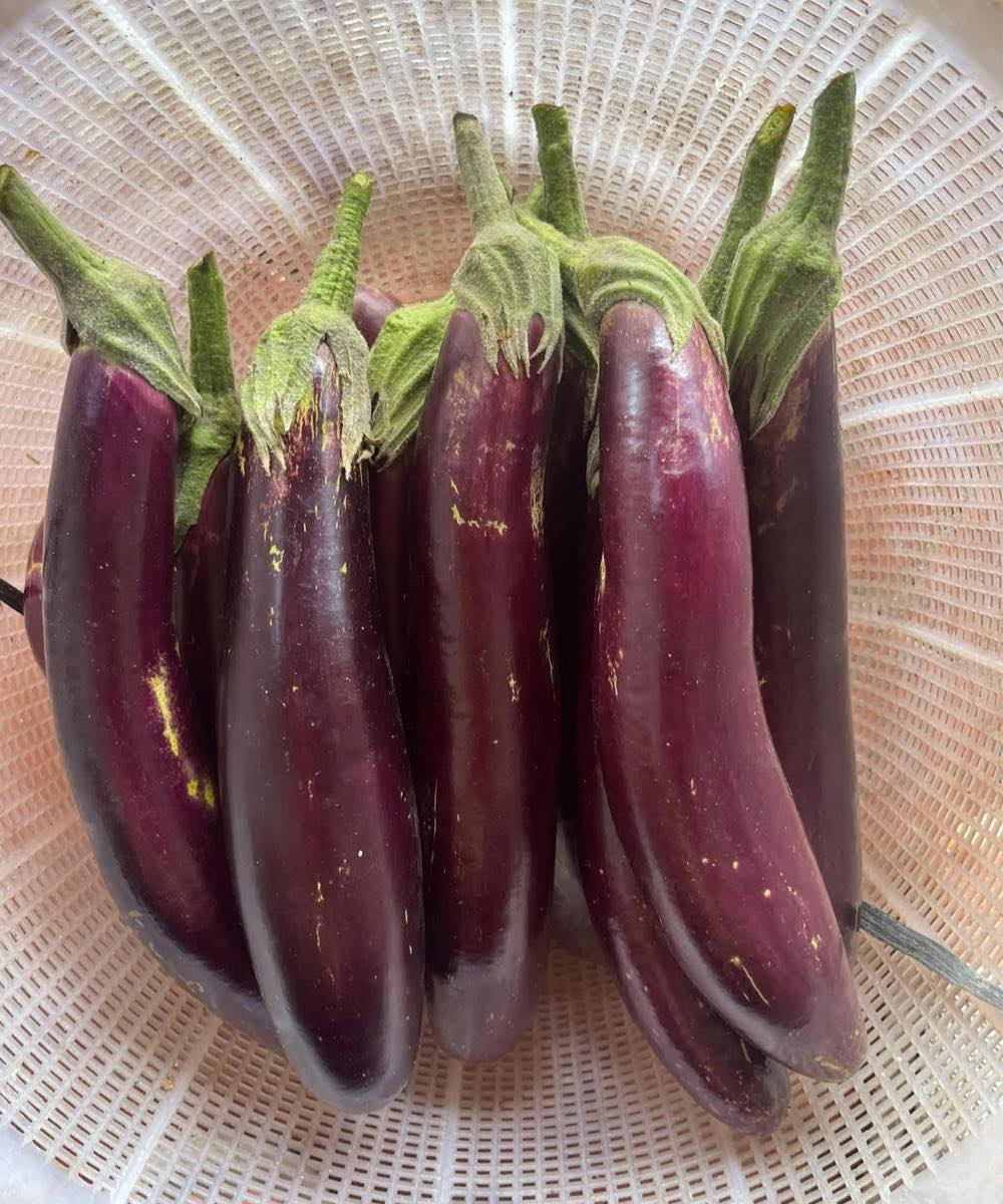 Les médecins révèlent ce que manger de l'aubergine provoque…