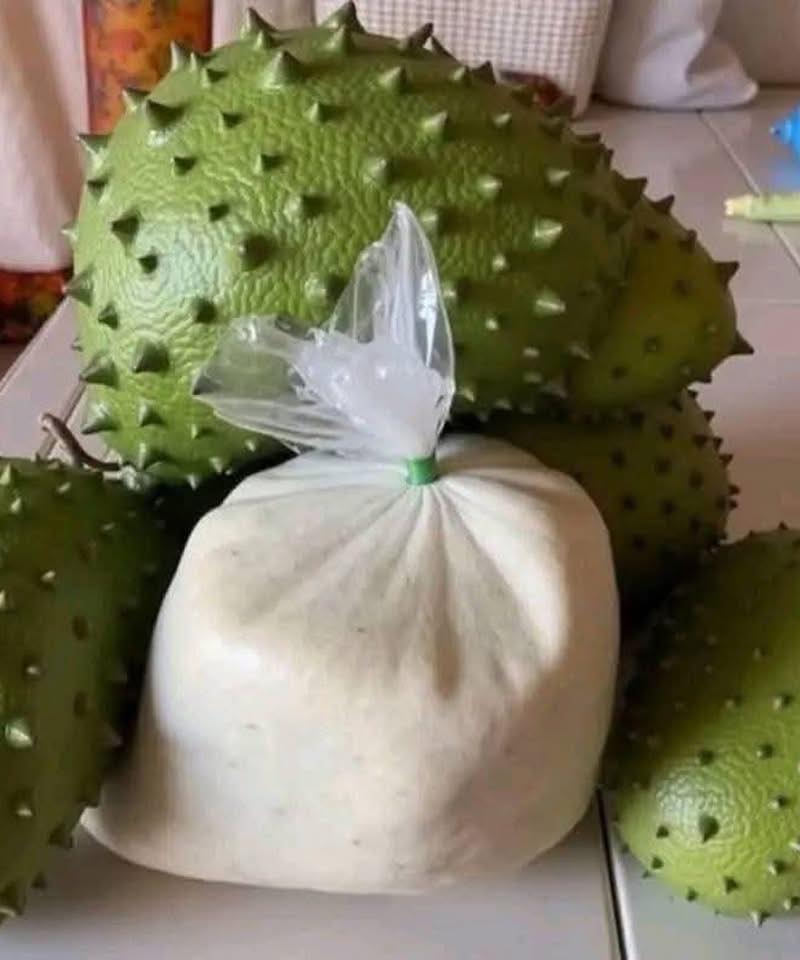 Connaissez-vous la tisane de feuilles de corossol ? Découvrez pourquoi elle suscite l'intérêt.